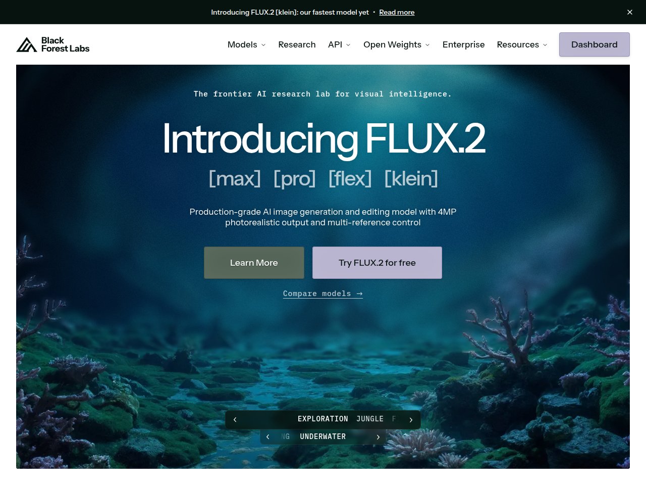 Black Forest Labs Flux AI image generation platform showing model selection and generation interface